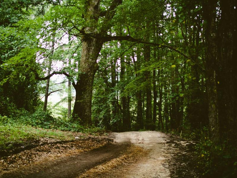 sudoku speed solving screenshot 6